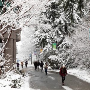 卡普蘭諾大學Capilano University