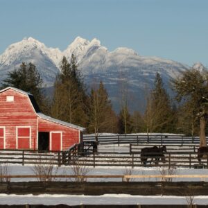 Township_Langley_Red_Barn